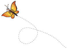 farfallina